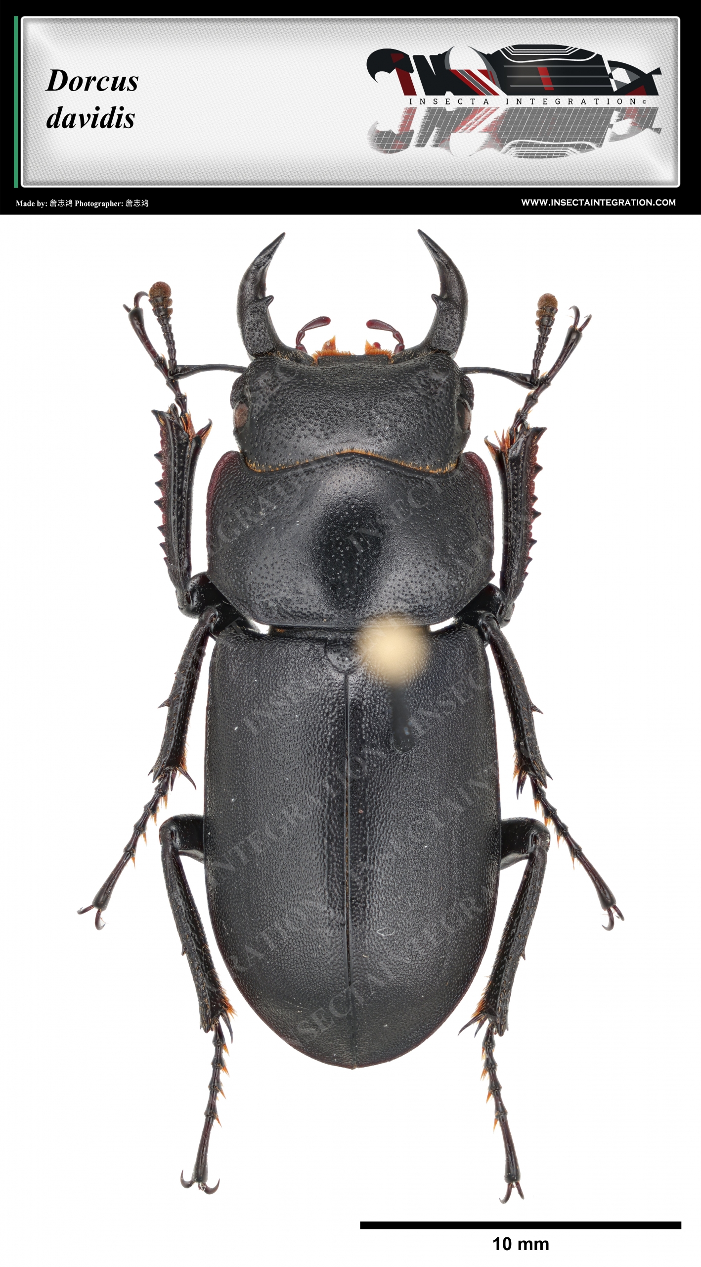 Biogeographic Realms (生物地理分布区) – 第 20 页 – IISDW