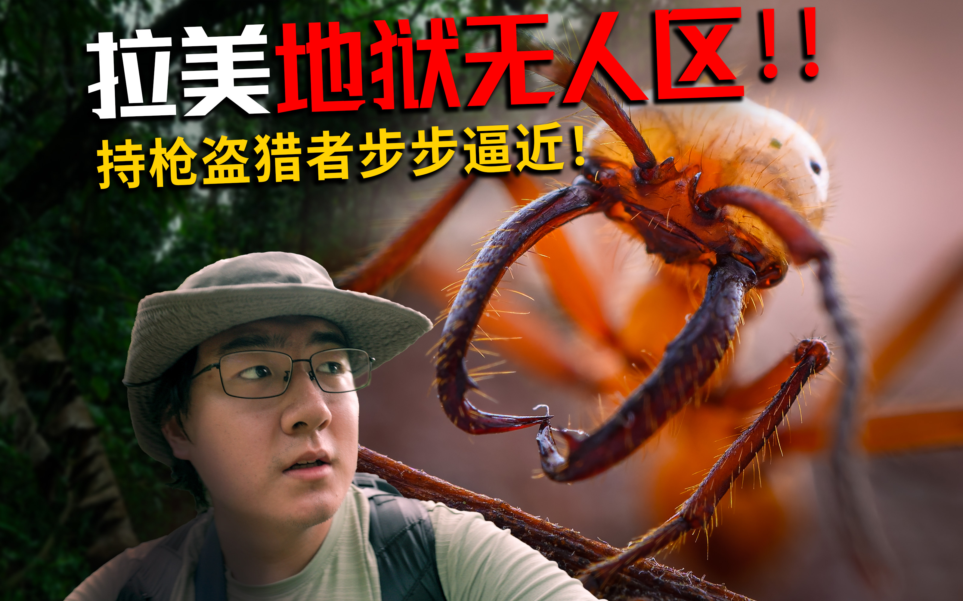 Documentaries for Insectaintegration – IISDW