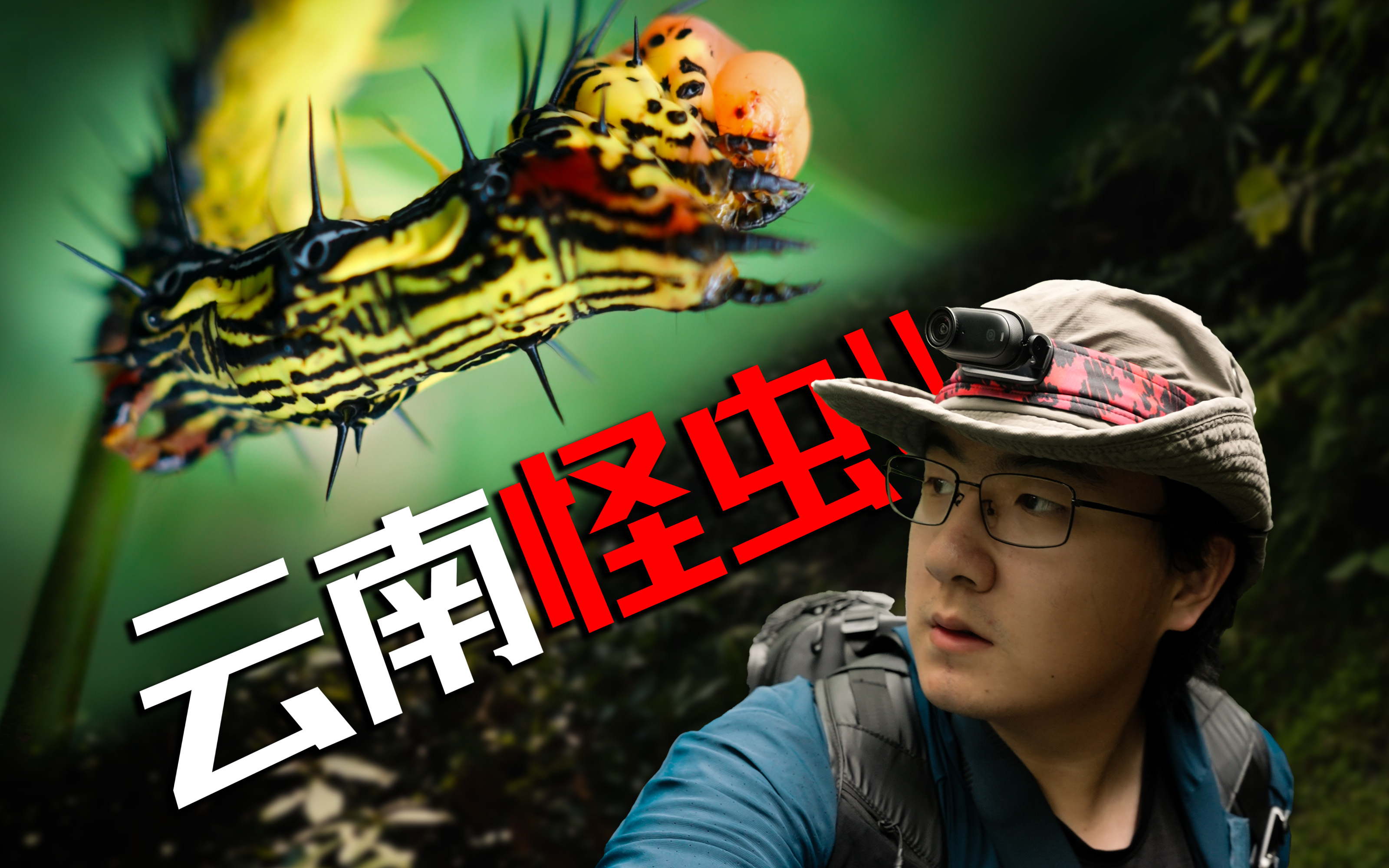 云南科考，被掉san怪虫撞脸！