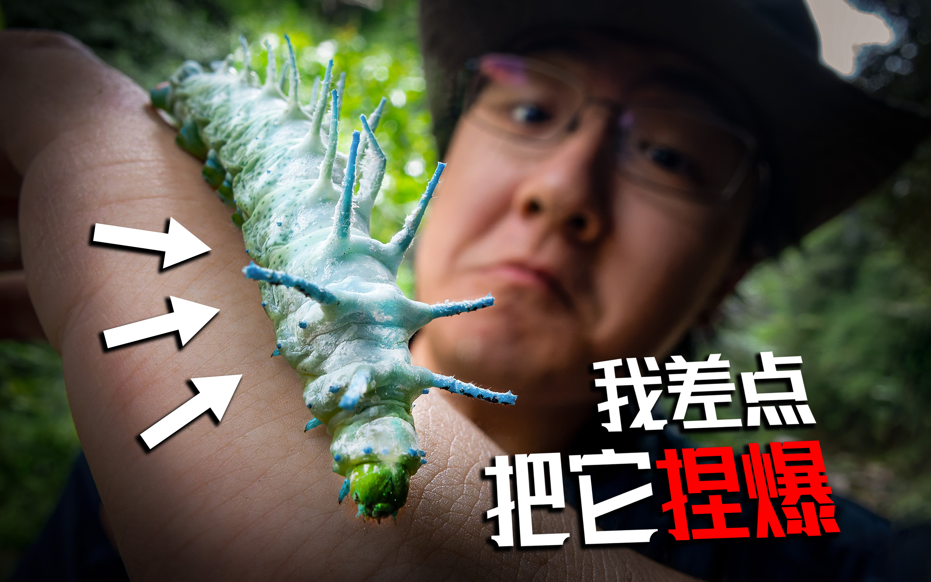上手巨大肉虫！！